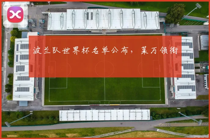 波兰队世界杯名单公布，莱万领衔