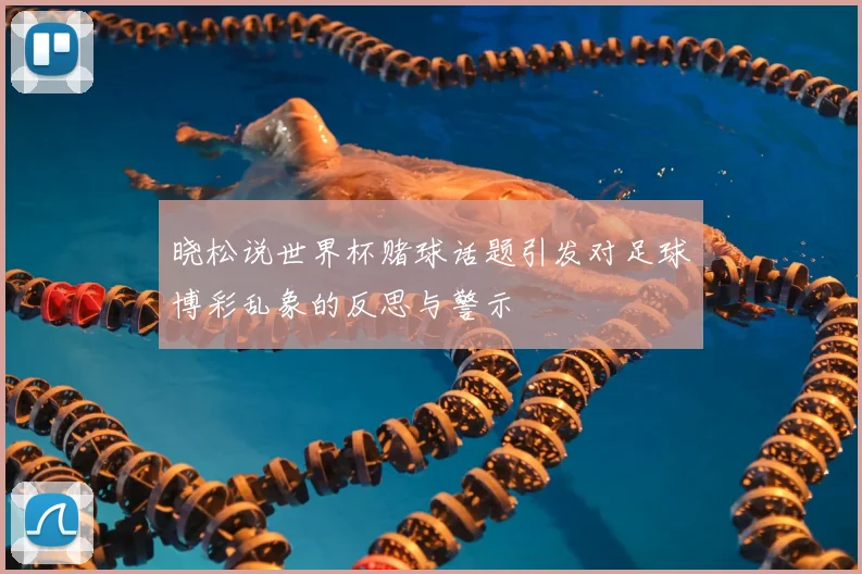 晓松说世界杯赌球话题引发对足球博彩乱象的反思与警示