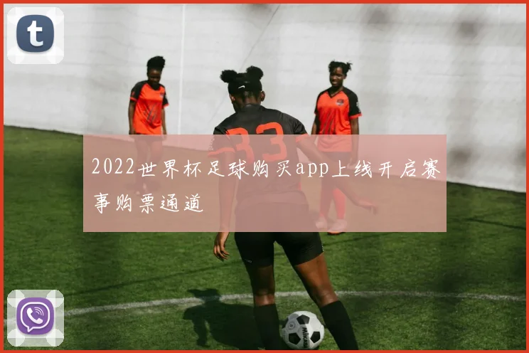 2022世界杯足球购买app上线开启赛事购票通道