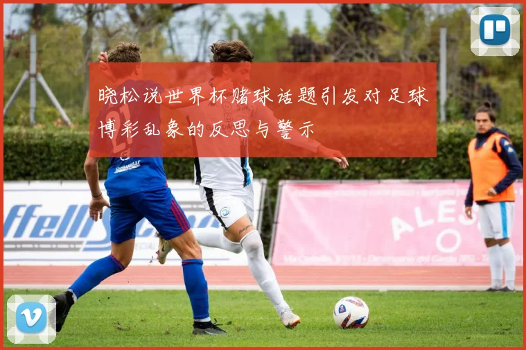 晓松说世界杯赌球话题引发对足球博彩乱象的反思与警示