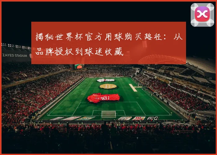 揭秘世界杯官方用球购买路径：从品牌授权到球迷收藏