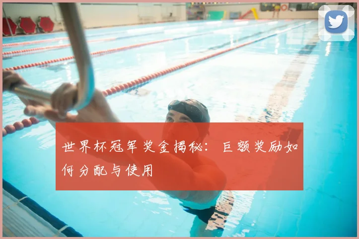 世界杯冠军奖金揭秘：巨额奖励如何分配与使用