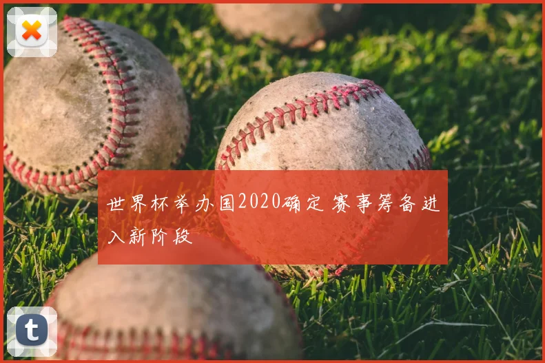 世界杯举办国2020确定 赛事筹备进入新阶段